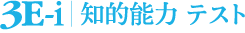 3E-i 知的能力テスト